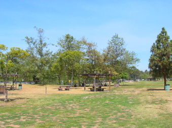 Enlarge photo 37