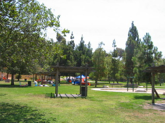 Enlarge photo 40