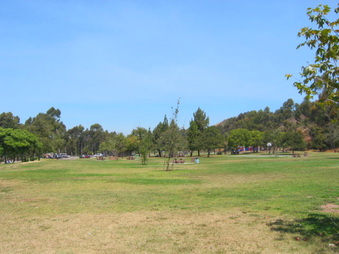 Enlarge photo 41