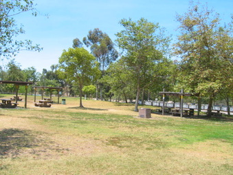 Enlarge photo 42