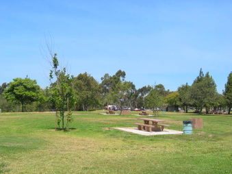 Enlarge photo 43