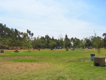 Enlarge photo 46