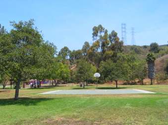 Enlarge photo 47