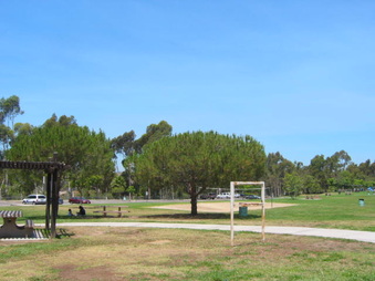 Enlarge photo 52