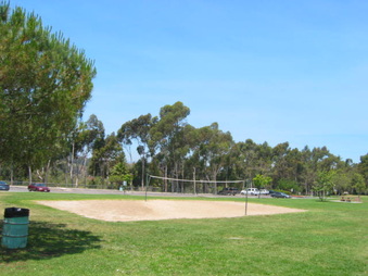 Enlarge photo 54