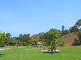 Enlarge photo 57
