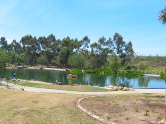 Enlarge photo 62