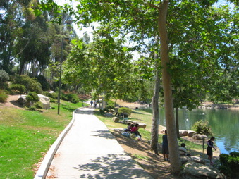 Enlarge photo 67