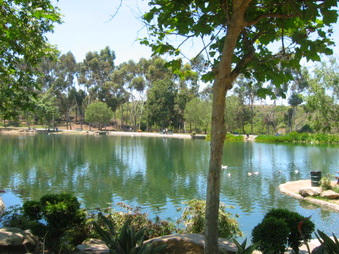 Enlarge photo 68