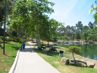 Enlarge photo 69