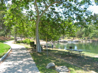 Enlarge photo 72