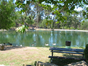 Enlarge photo 74