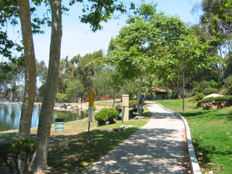 Enlarge photo 75