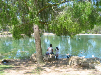 Enlarge photo 76