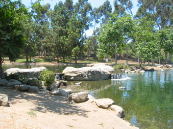 Enlarge photo 78