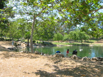 Enlarge photo 80
