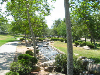 Enlarge photo 84