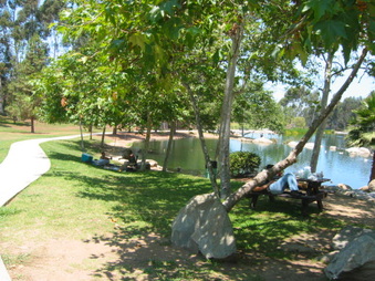 Enlarge photo 87