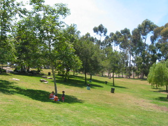 Enlarge photo 89