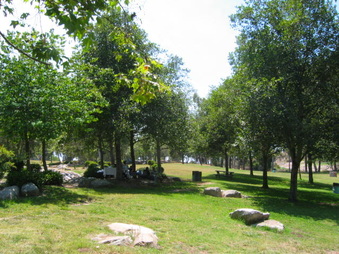 Enlarge photo 90