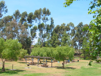 Enlarge photo 91