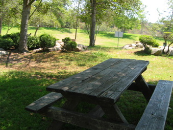 Enlarge photo 92