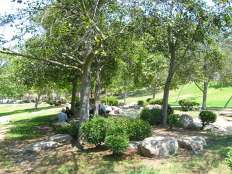 Enlarge photo 93