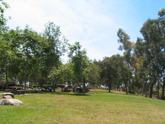 Enlarge photo 94