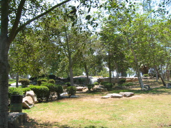 Enlarge photo 96