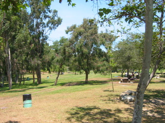Enlarge photo 99