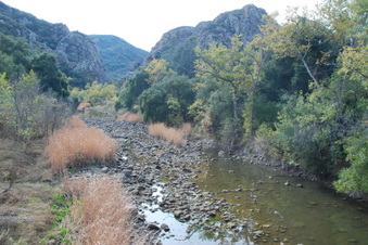 Enlarge photo 1