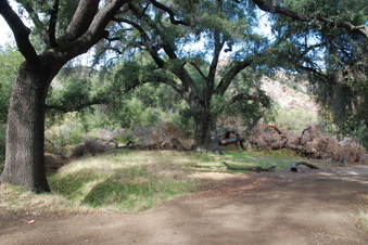 Enlarge photo 4