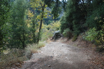 Enlarge photo 6
