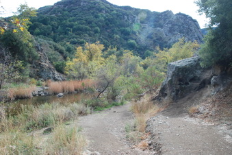Enlarge photo 8