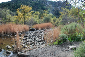 Enlarge photo 10