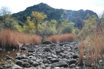 Enlarge photo 13