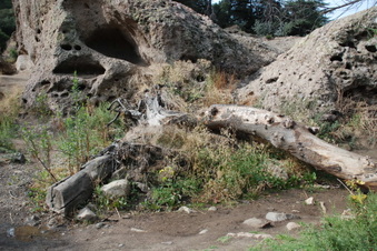 Enlarge photo 15