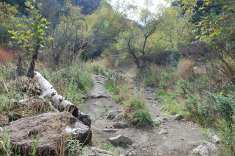 Enlarge photo 16
