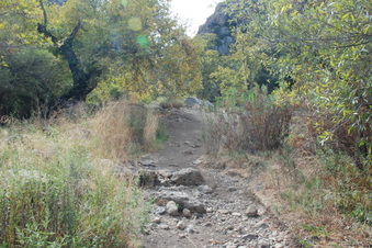 Enlarge photo 19