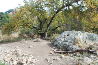 Enlarge photo 21