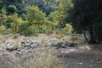 Enlarge photo 23