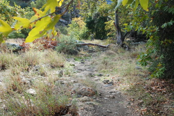 Enlarge photo 24