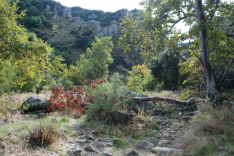 Enlarge photo 25