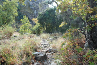 Enlarge photo 26