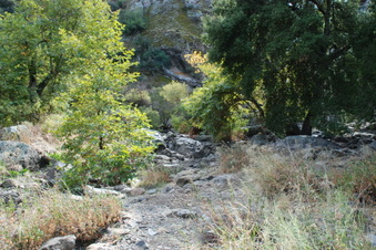 Enlarge photo 27