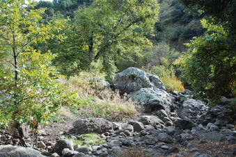 Enlarge photo 28