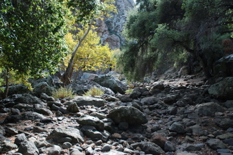 Enlarge photo 29