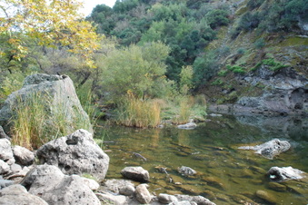 Enlarge photo 34
