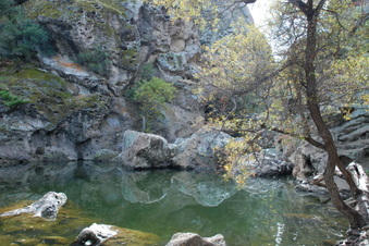 Enlarge photo 35