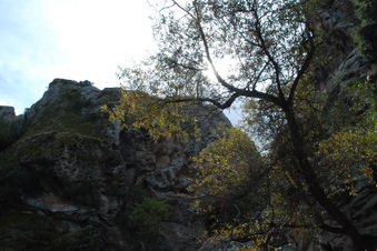 Enlarge photo 36
